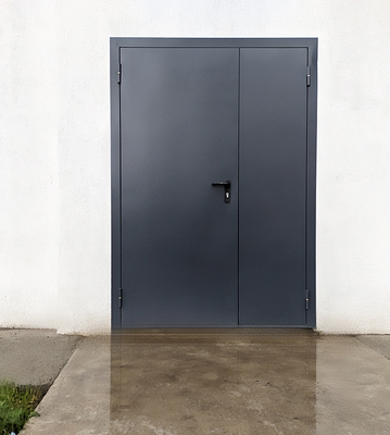 Глухая полуторастворчатая дверь