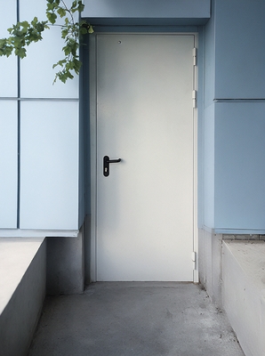 Глухая огнезащитная дверь