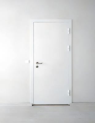 Огнеупорная глухая дверь