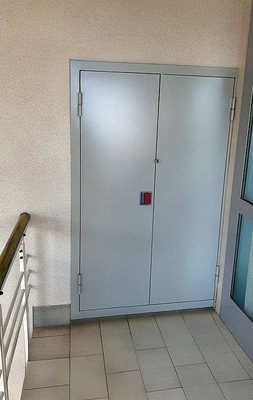 Дверь с двумя створками