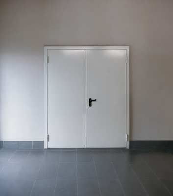 Двустворчатая огнезащитная дверь Двустворчатая огнезащитная дверь