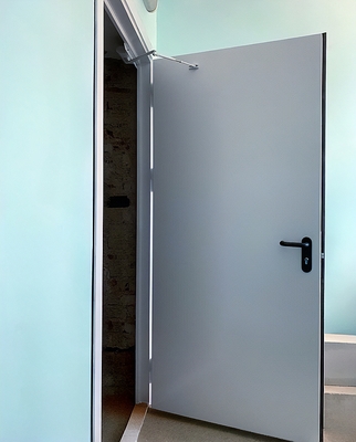 Стандартная огнезащитная дверь