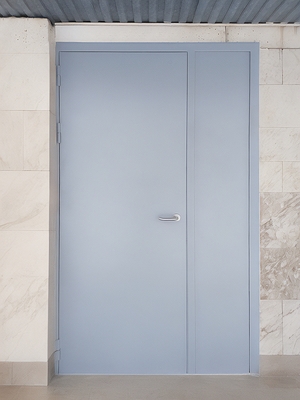 Дверь с боковой вставкой