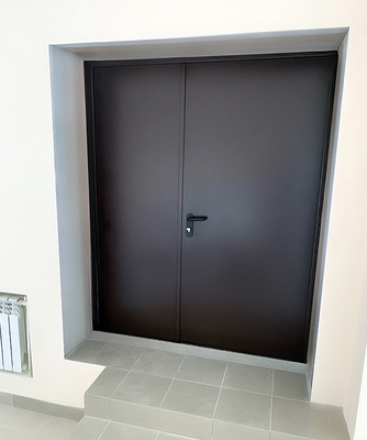 Коричневая двупольная дверь Коричневая двупольная дверь