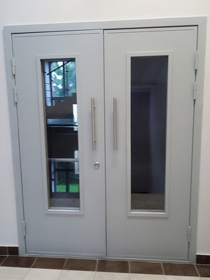 Двупольная остекленная дверь