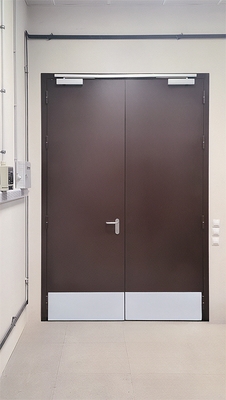 Коричневая двупольная дверь с отбойниками Коричневая двупольная дверь с отбойниками