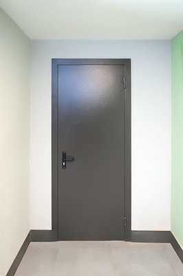 Глухая пожаростойкая дверь