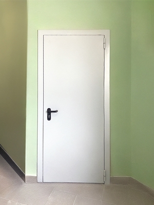 Глухая однопольная дверь