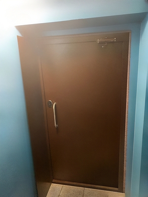 Дверь с ручкой-скобой