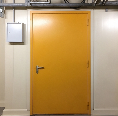 Дверь с покраской RAL