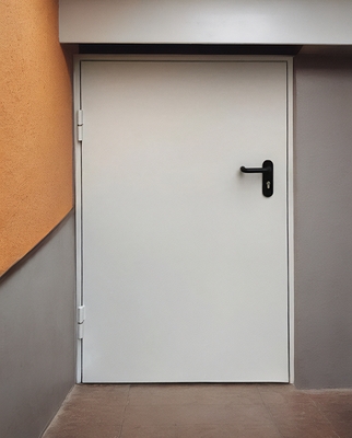 Нестандартная однопольная дверь