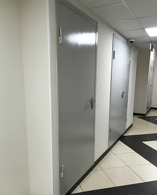 Двери однопольной конструкции