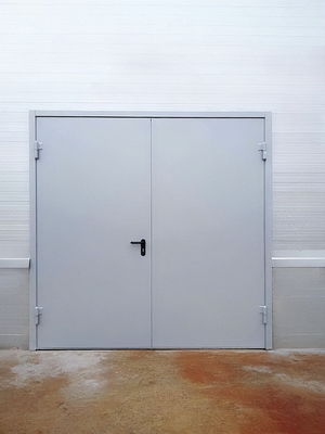 Двустворчатая металлическая дверь Двустворчатая металлическая дверь