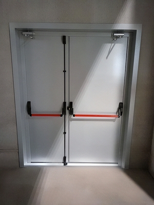 Дверь Антипаника с доводчиками Дверь Антипаника с доводчиками