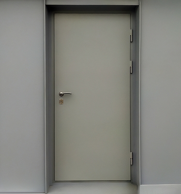 Глухая одностворчатая дверь