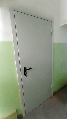 Однопольная глухая дверь