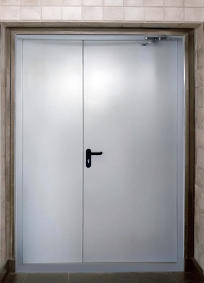 Огнеустойчивая полуторная дверь Огнеустойчивая полуторная дверь