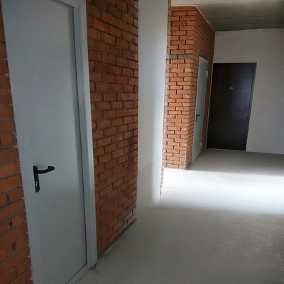 Двери однопольной конструкции