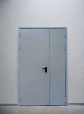 Установленная огнезащитная дверь Установленная огнезащитная дверь