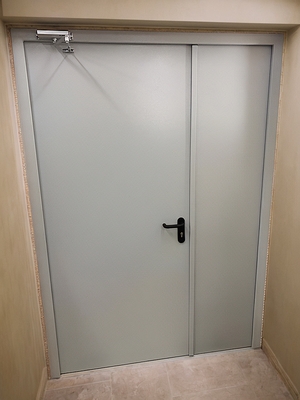 Полуторная огнезащитная дверь Полуторная огнезащитная дверь