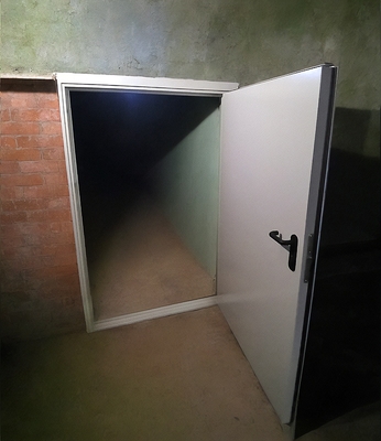 Нестандартная дверь в подвал Нестандартная дверь в подвал