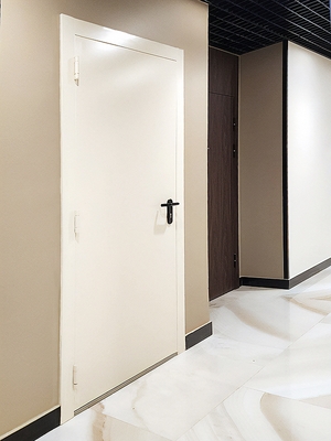 Глухая огнеупорная дверь