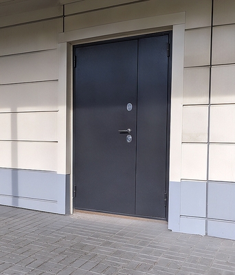 Глухая полуторная дверь Глухая полуторная дверь