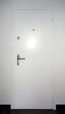 Белая глухая дверь
