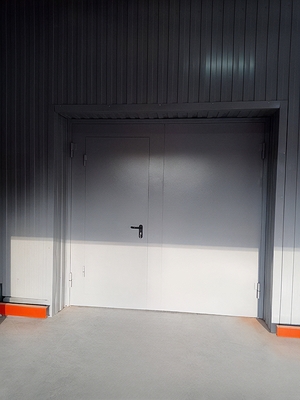 Ворота с дверью (огнестойкость EI-60)