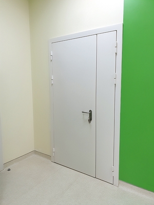 Полуторная глухая дверь