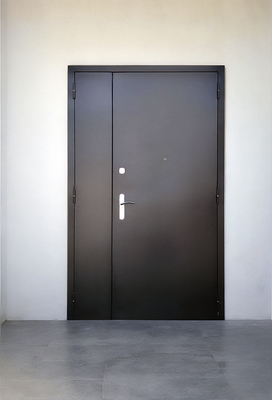 Полуторная порошковая дверь