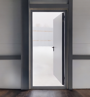 Дверь однопольной конструкции