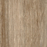 Дуб венецианский