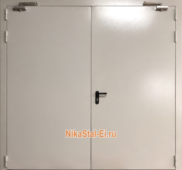 Двупольная дымогазонепроницаемая дверь ДПМ eis-60
