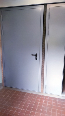 Глухая дверь EI 60