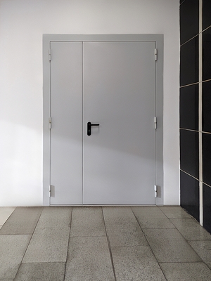 Глухая полуторная дверь Глухая полуторная дверь